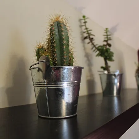 The Anvil Han/Misafirhane