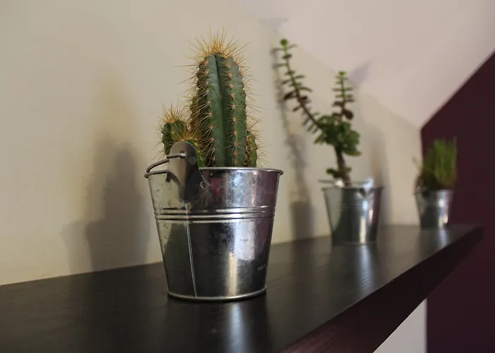 The Anvil Han/Misafirhane